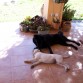 Descansando un poco antes de volver a jugar